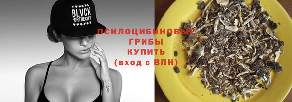 ПСИЛОЦИБИНОВЫЕ ГРИБЫ Армянск