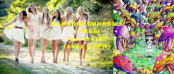 бошки Аркадак