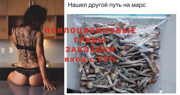 бошки Аркадак