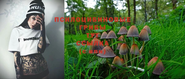 бошки Аркадак