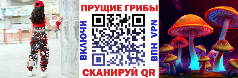 Галлюциногенные грибы MAGIC MUSHROOMS  где найти наркотики  Осинники 